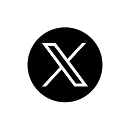 X (Twitter)